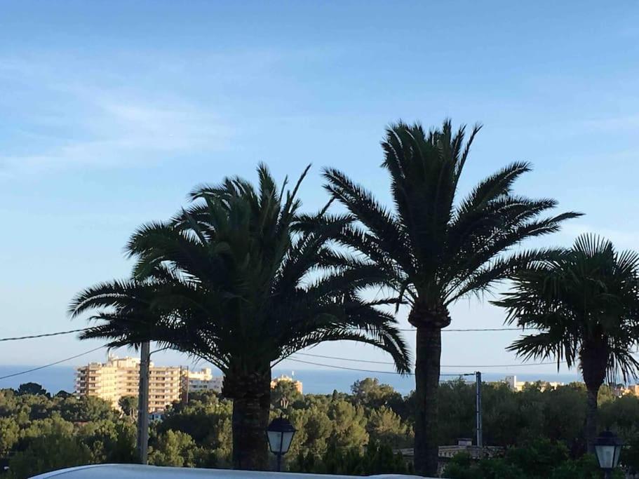 Casa Limon Vakantiehuis