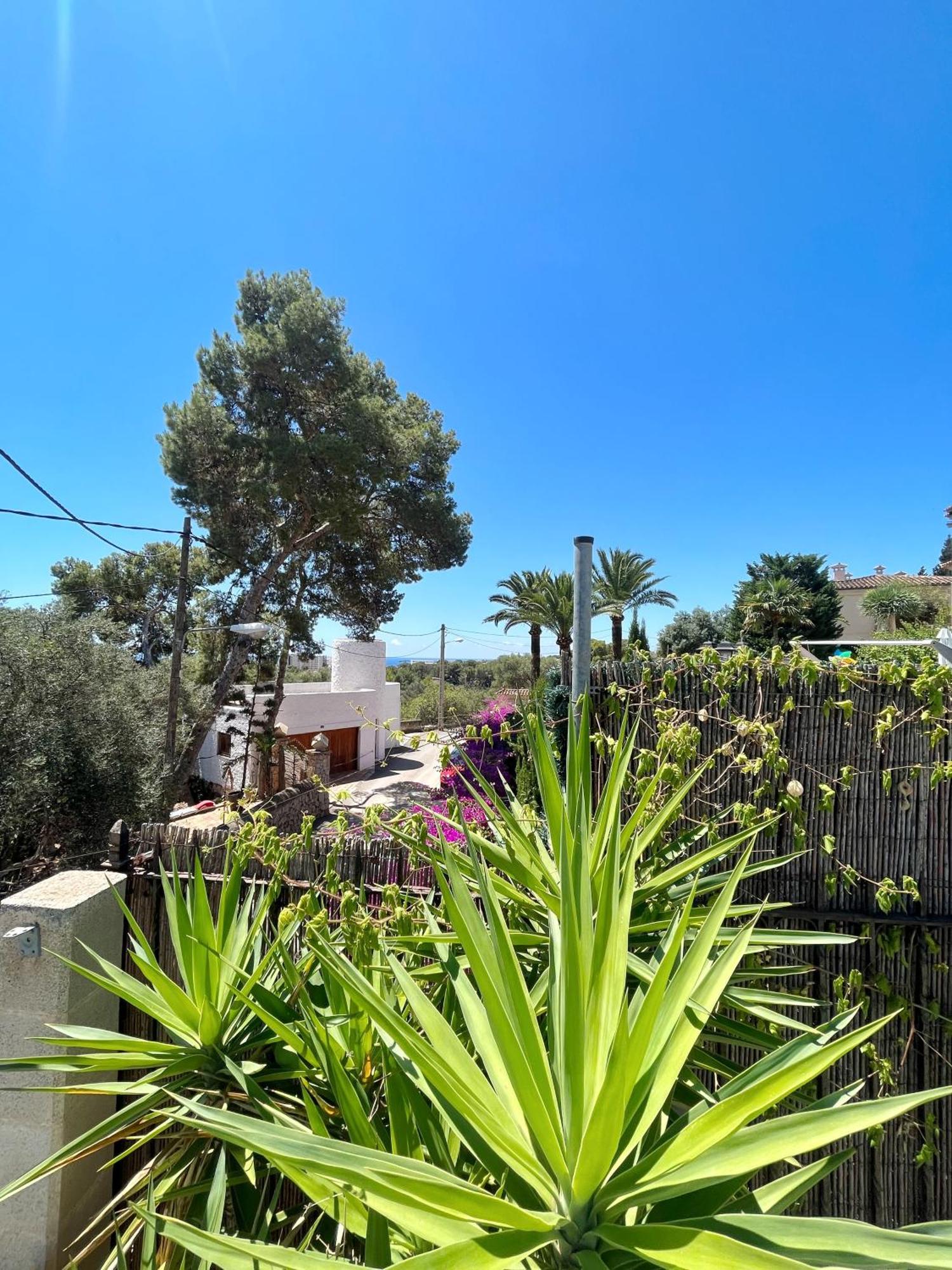 Casa vacanze Casa Limon *