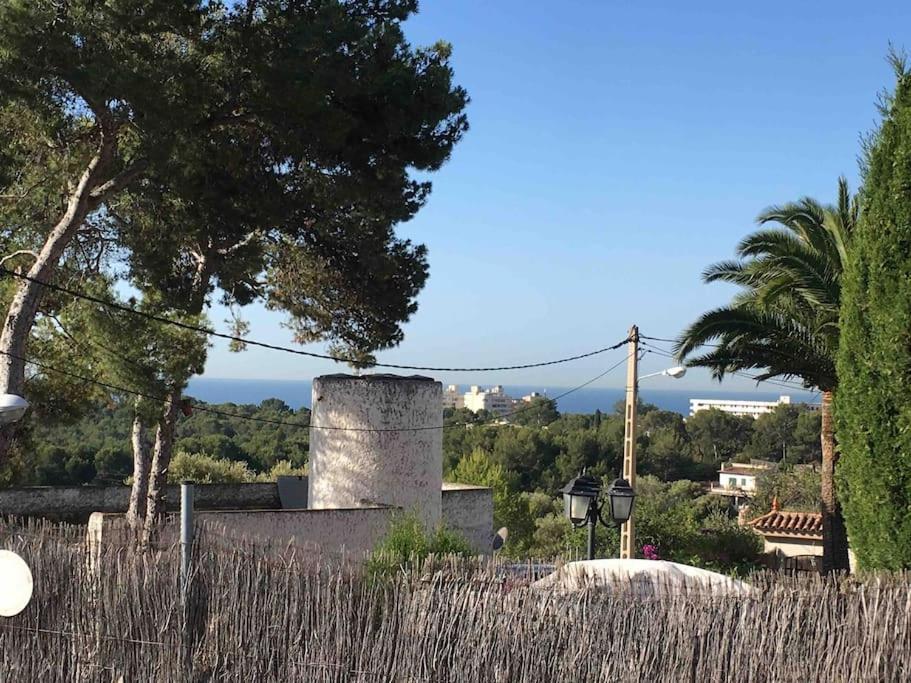 Casa Limon Casa vacanze *